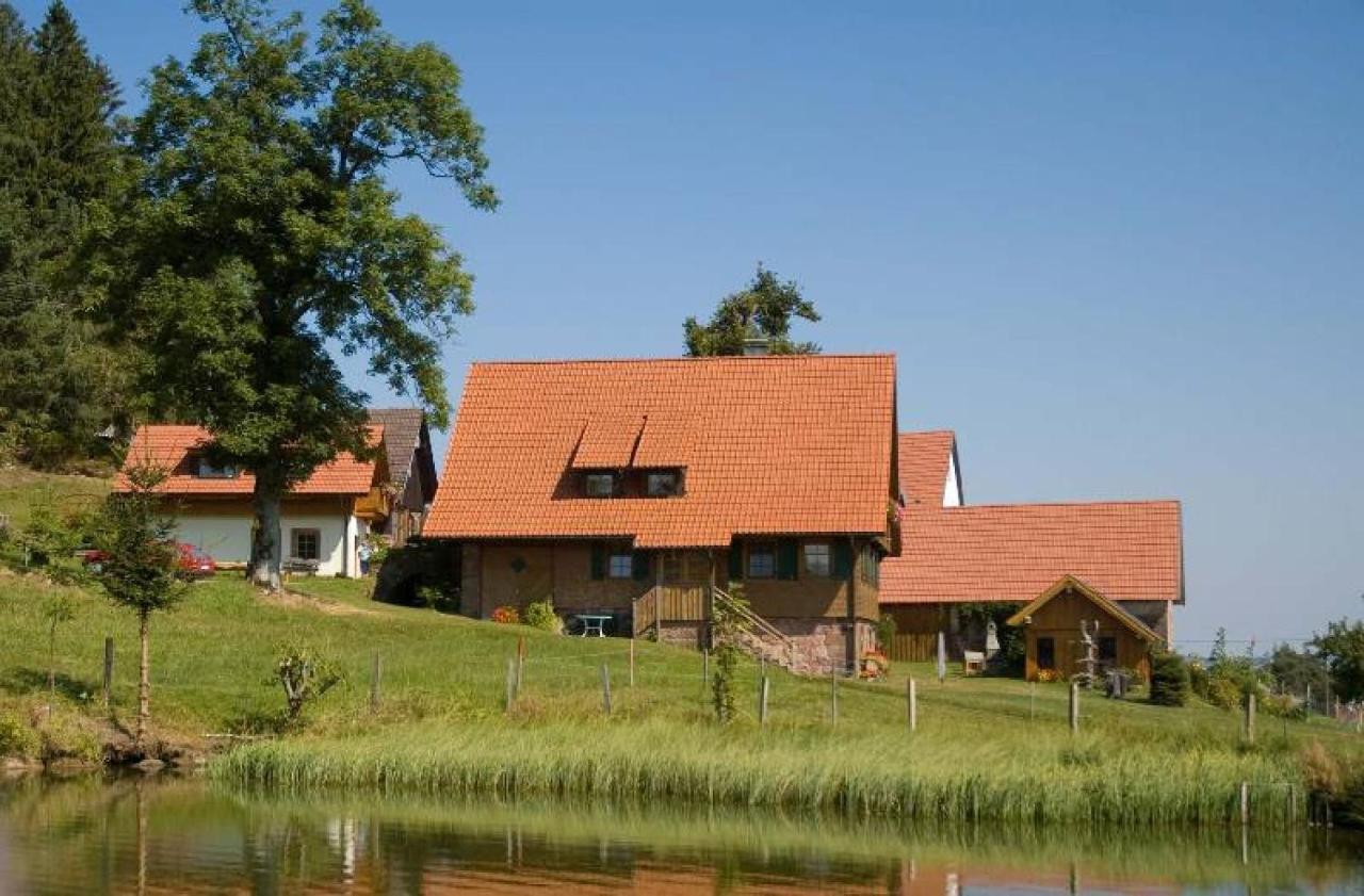 Ferienhof Kienbronnerhof Schiltach Exterior foto